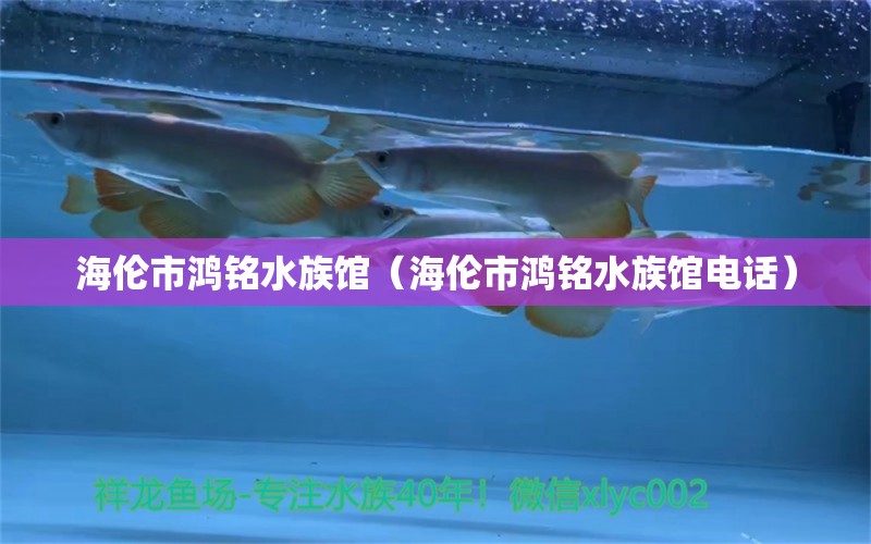 海倫市鴻銘水族館（海倫市鴻銘水族館電話） 全國水族館企業(yè)名錄