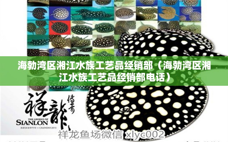 海勃灣區(qū)湘江水族工藝品經(jīng)銷部（海勃灣區(qū)湘江水族工藝品經(jīng)銷部電話）