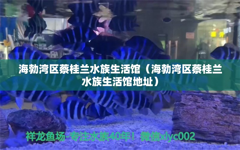 海勃灣區(qū)蔡桂蘭水族生活館（海勃灣區(qū)蔡桂蘭水族生活館地址）