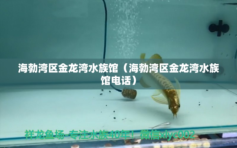 海勃灣區(qū)金龍灣水族館（海勃灣區(qū)金龍灣水族館電話）