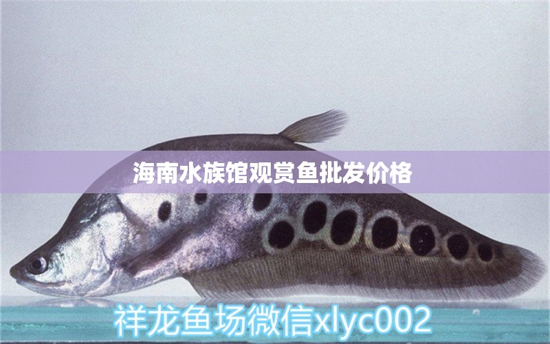 海南水族館觀賞魚批發(fā)價(jià)格 