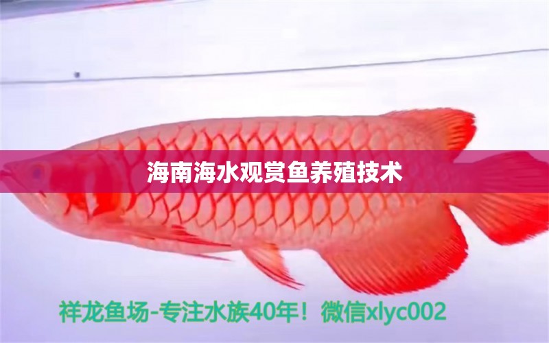 海南海水觀賞魚養(yǎng)殖技術(shù)