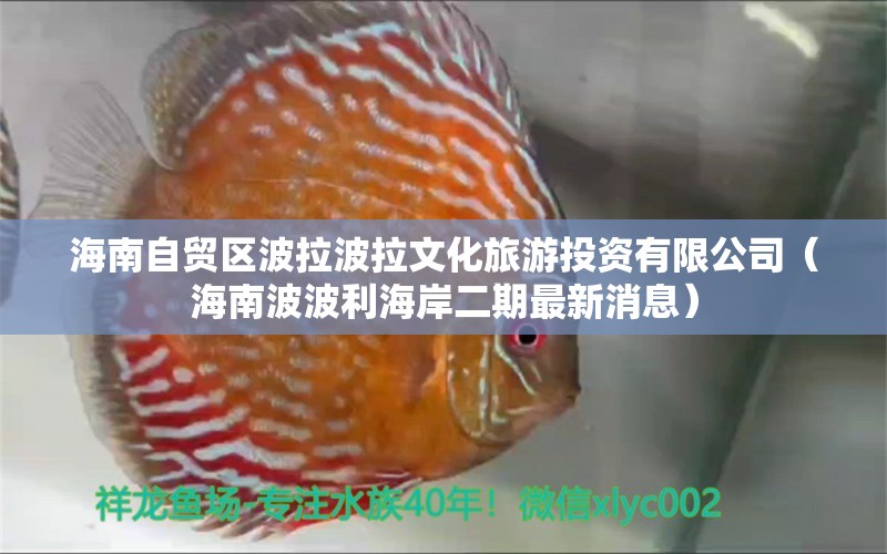 海南自貿區(qū)波拉波拉文化旅游投資有限公司（海南波波利海岸二期最新消息）