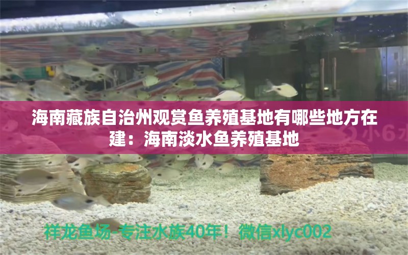 海南藏族自治州觀賞魚養(yǎng)殖基地有哪些地方在建：海南淡水魚養(yǎng)殖基地