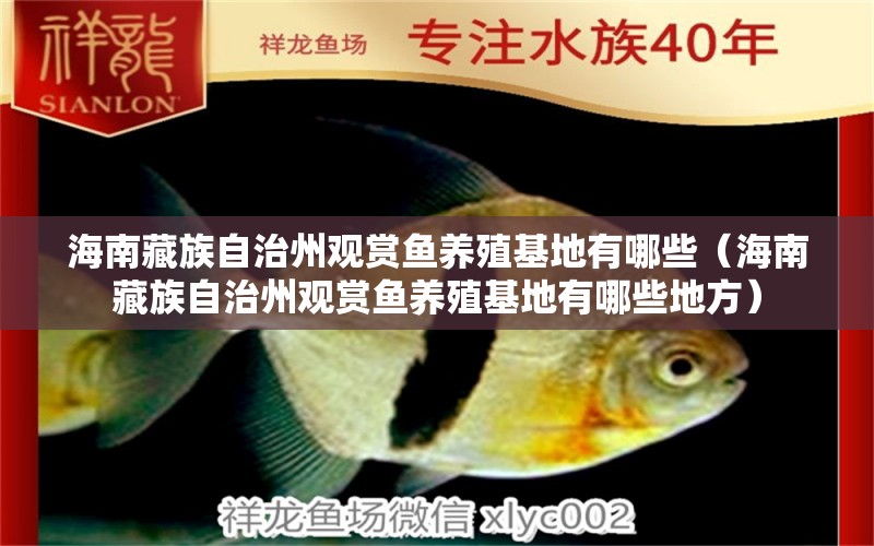 海南藏族自治州觀賞魚養(yǎng)殖基地有哪些（海南藏族自治州觀賞魚養(yǎng)殖基地有哪些地方） 祥龍水族醫(yī)院