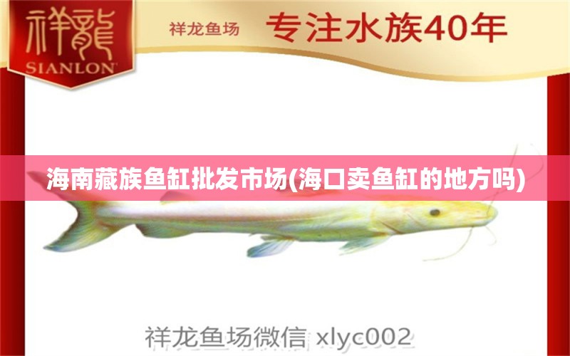 海南藏族魚缸批發(fā)市場(?？谫u魚缸的地方嗎) 泰國虎魚（泰虎） 第1張