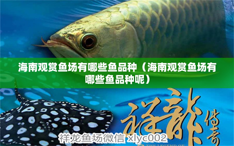 海南觀賞魚場有哪些魚品種（海南觀賞魚場有哪些魚品種呢） 水族維護服務(wù)（上門）