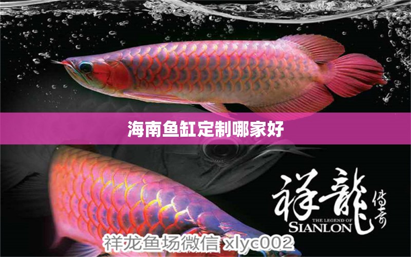 海南魚缸定制哪家好