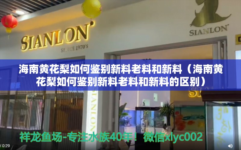 海南黃花梨如何鑒別新料老料和新料（海南黃花梨如何鑒別新料老料和新料的區(qū)別）