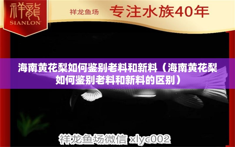 海南黃花梨如何鑒別老料和新料（海南黃花梨如何鑒別老料和新料的區(qū)別）