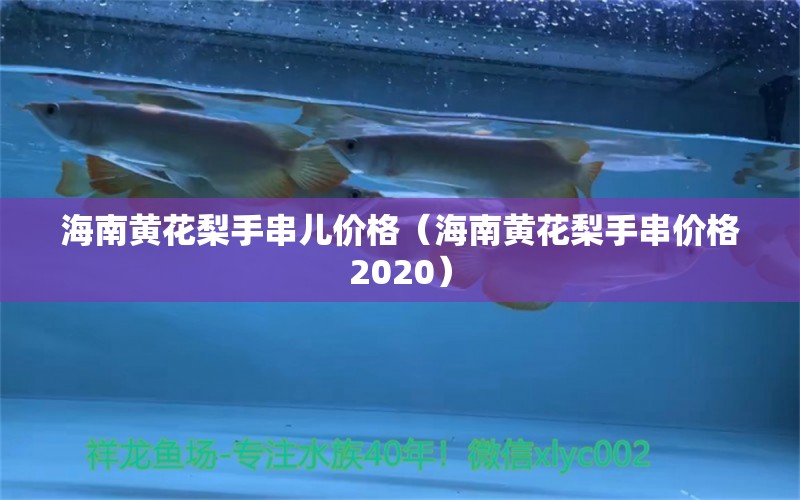 海南黃花梨手串兒價(jià)格（海南黃花梨手串價(jià)格2020） 文玩