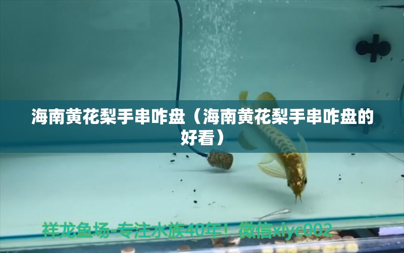 海南黃花梨手串咋盤（海南黃花梨手串咋盤的好看）