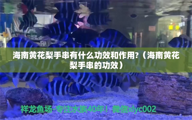 海南黃花梨手串有什么功效和作用?（海南黃花梨手串的功效）