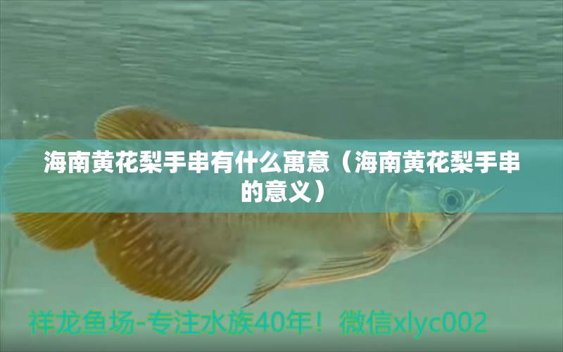 海南黃花梨手串有什么寓意（海南黃花梨手串的意義）