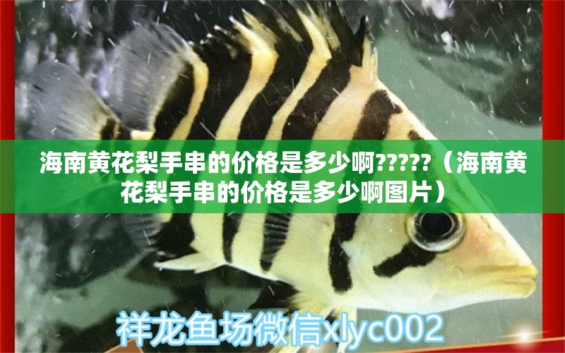 海南黃花梨手串的價格是多少啊?????（海南黃花梨手串的價格是多少啊圖片） 文玩