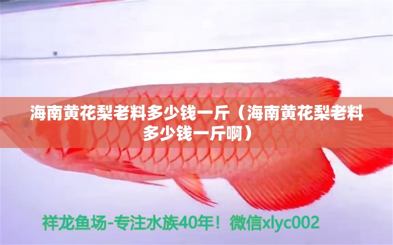 海南黃花梨老料多少錢一斤（海南黃花梨老料多少錢一斤?。? title=