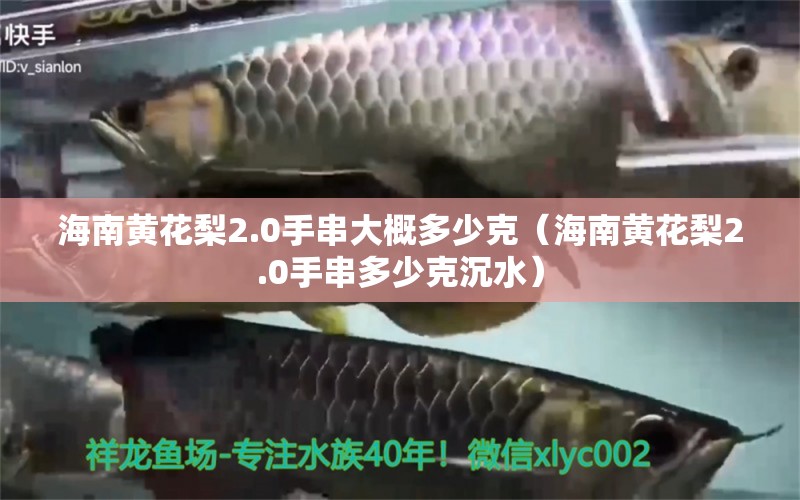 海南黃花梨2.0手串大概多少克（海南黃花梨2.0手串多少克沉水） 文玩