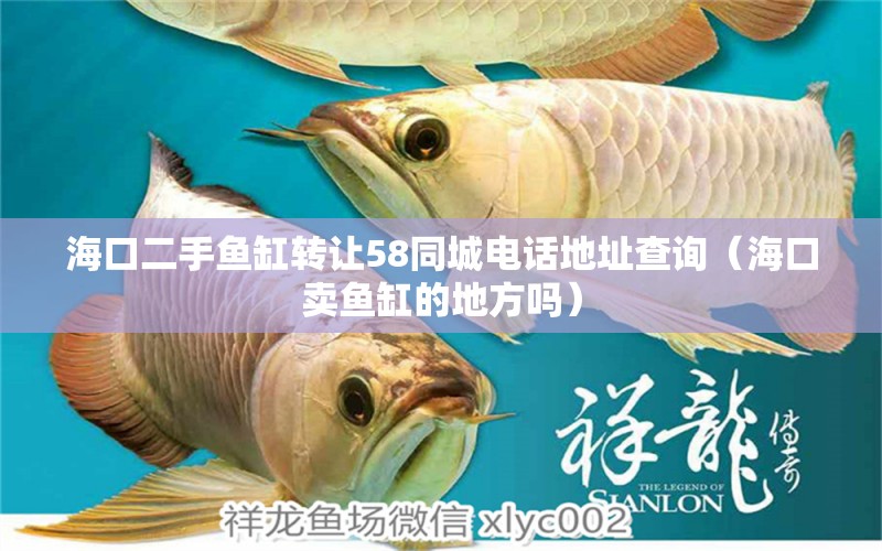 海口二手魚缸轉(zhuǎn)讓58同城電話地址查詢（?？谫u魚缸的地方嗎） 水族世界