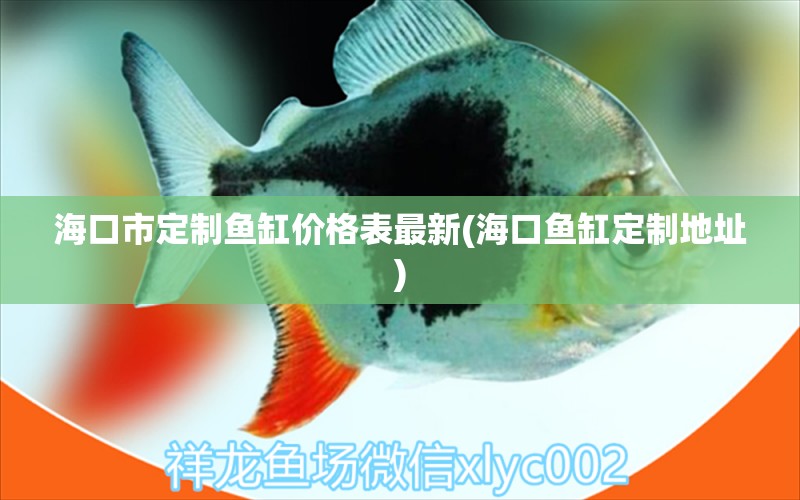 海口市定制魚缸價格表最新(?？隰~缸定制地址) 薩伊藍魚