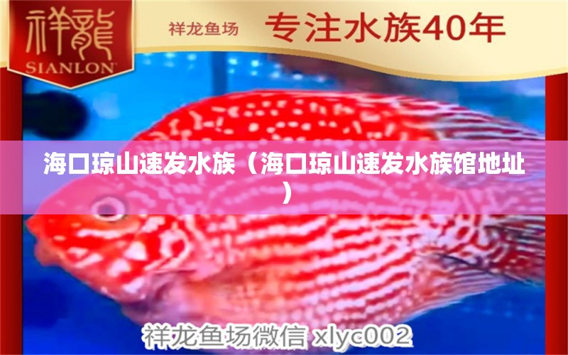 ?？诃偵剿侔l(fā)水族（海口瓊山速發(fā)水族館地址）