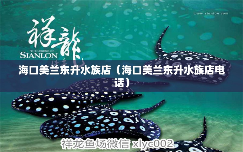 ?？诿捞m東升水族店（?？诿捞m東升水族店電話） 全國(guó)水族館企業(yè)名錄