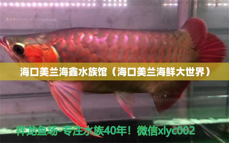 海口美蘭海鑫水族館（?？诿捞m海鮮大世界） 全國水族館企業(yè)名錄