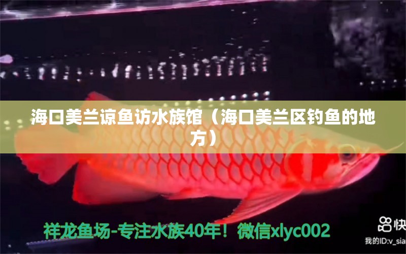 ?？诿捞m諒魚訪水族館（?？诿捞m區(qū)釣魚的地方）