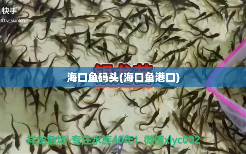 ?？隰~碼頭(?？隰~港口) 委內(nèi)瑞拉奧里諾三間魚