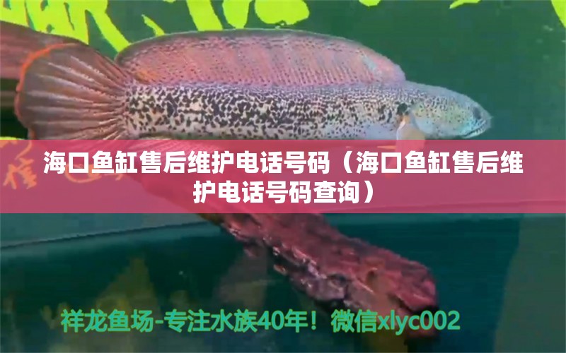 ?？隰~缸售后維護(hù)電話號(hào)碼（海口魚缸售后維護(hù)電話號(hào)碼查詢）