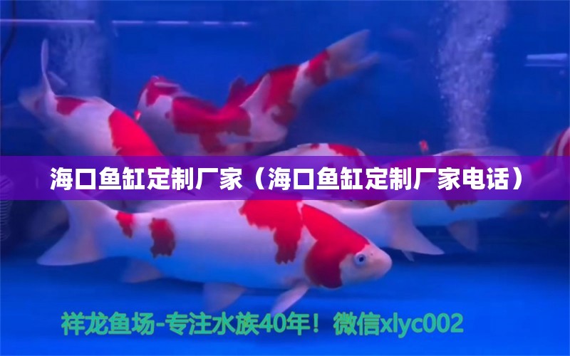 海口魚缸定制廠家（?？隰~缸定制廠家電話）