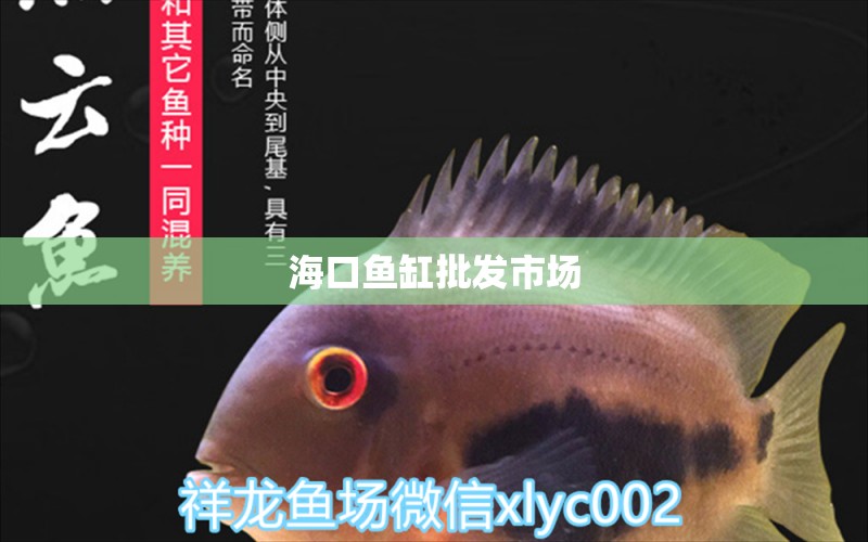 海口魚缸批發(fā)市場(chǎng) 其他品牌魚缸