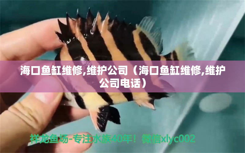 海口魚缸維修,維護公司（?？隰~缸維修,維護公司電話）