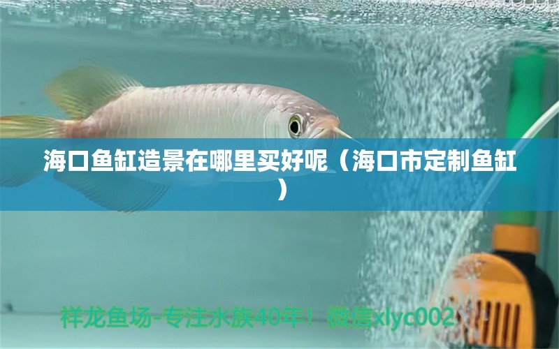 ?？隰~缸造景在哪里買好呢（海口市定制魚缸） 全國(guó)觀賞魚市場(chǎng)