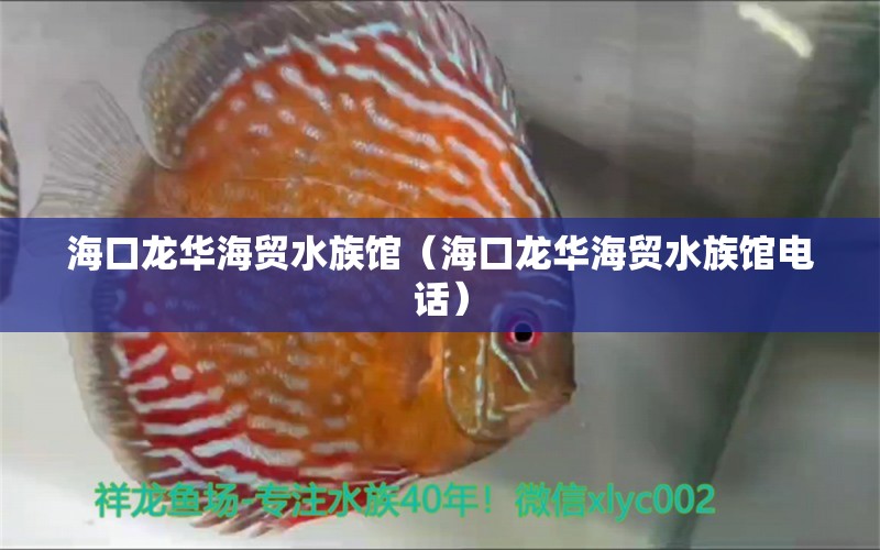 海口龍華海貿(mào)水族館（?？邶埲A海貿(mào)水族館電話）