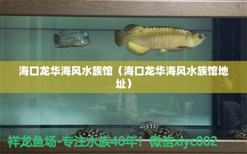 ?？邶埲A海風(fēng)水族館（?？邶埲A海風(fēng)水族館地址） 魚缸風(fēng)水