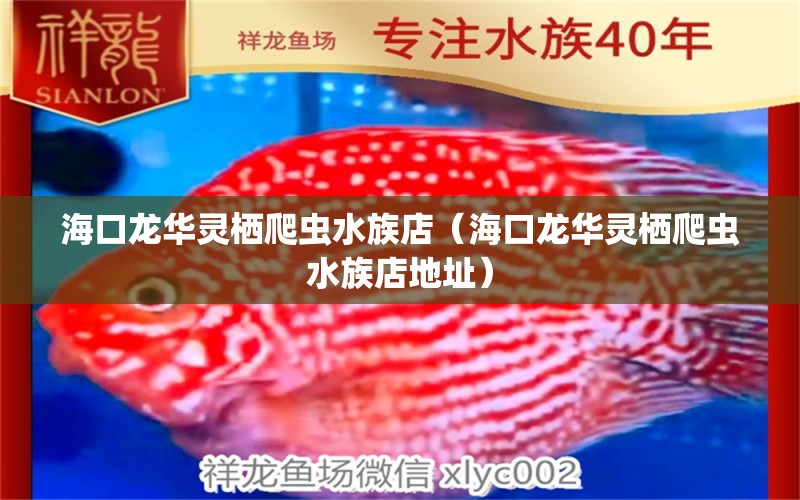 ?？邶埲A靈棲爬蟲水族店（?？邶埲A靈棲爬蟲水族店地址）