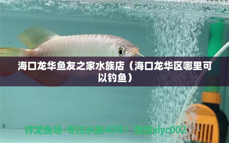 ?？邶埲A魚友之家水族店（?？邶埲A區(qū)哪里可以釣魚）