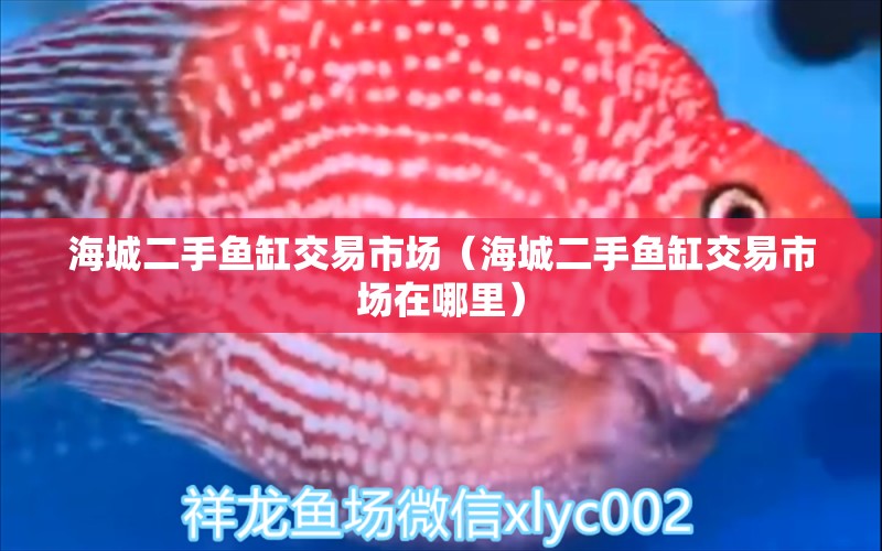 海城二手魚缸交易市場(chǎng)（海城二手魚缸交易市場(chǎng)在哪里）