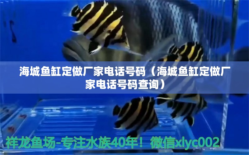 海城魚缸定做廠家電話號(hào)碼（海城魚缸定做廠家電話號(hào)碼查詢） 觀賞魚市場(chǎng)（混養(yǎng)魚）