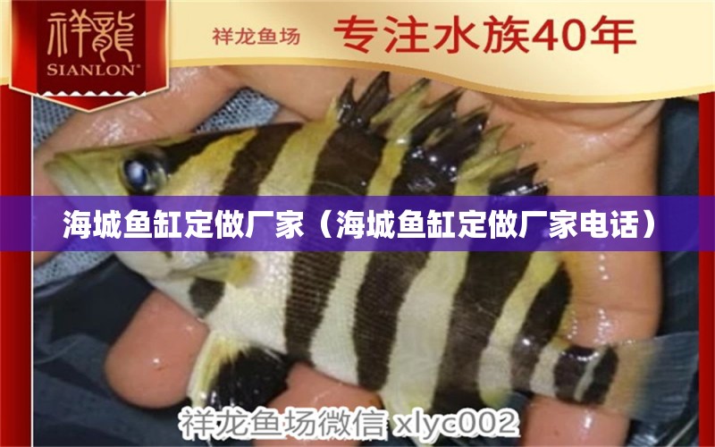 海城魚缸定做廠家（海城魚缸定做廠家電話） 其他品牌魚缸