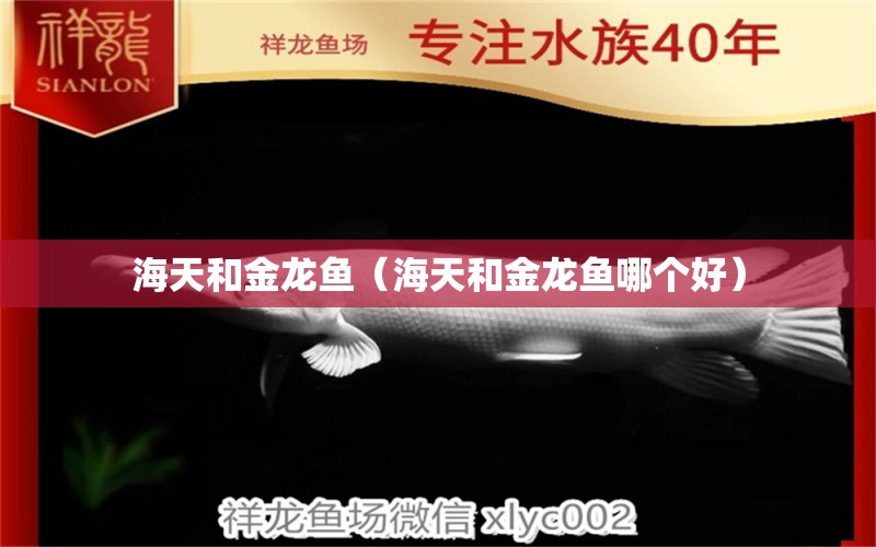 海天和金龍魚(yú)（海天和金龍魚(yú)哪個(gè)好）