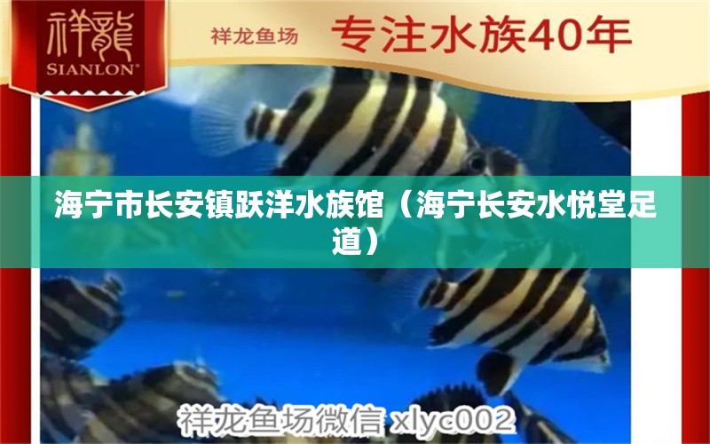 海寧市長安鎮(zhèn)躍洋水族館（海寧長安水悅堂足道）