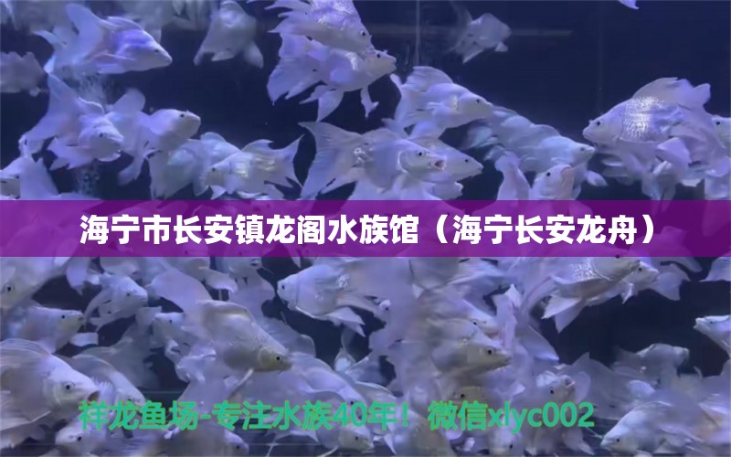 海寧市長安鎮(zhèn)龍閣水族館（海寧長安龍舟）