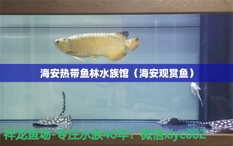 海安熱帶魚林水族館（海安觀賞魚） 全國水族館企業(yè)名錄