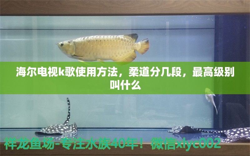 海爾電視k歌使用方法，柔道分幾段，最高級(jí)別叫什么 觀賞魚(yú)