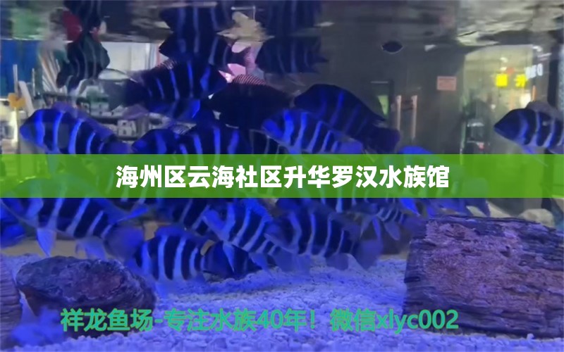 海州區(qū)云海社區(qū)升華羅漢水族館 全國水族館企業(yè)名錄