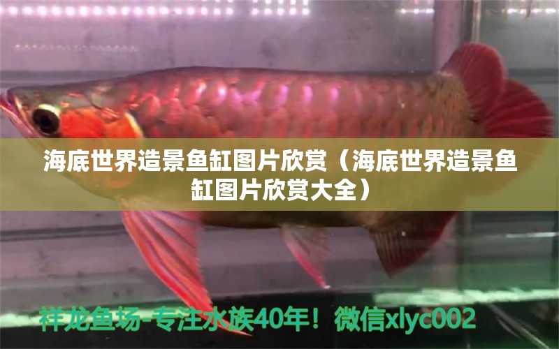 海底世界造景魚(yú)缸圖片欣賞（海底世界造景魚(yú)缸圖片欣賞大全） 觀賞魚(yú)市場(chǎng)（混養(yǎng)魚(yú)）