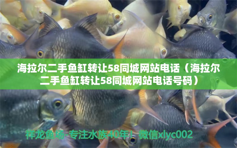 海拉爾二手魚缸轉(zhuǎn)讓58同城網(wǎng)站電話（海拉爾二手魚缸轉(zhuǎn)讓58同城網(wǎng)站電話號碼）