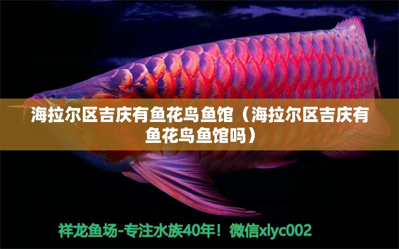 海拉爾區(qū)吉慶有魚花鳥魚館（海拉爾區(qū)吉慶有魚花鳥魚館嗎）