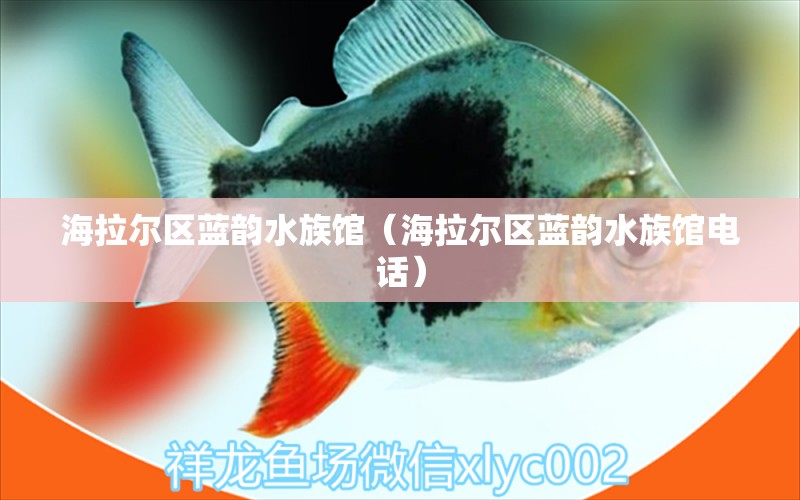 海拉爾區(qū)藍(lán)韻水族館（海拉爾區(qū)藍(lán)韻水族館電話） 全國水族館企業(yè)名錄